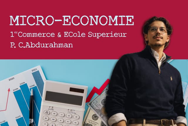 Micro Economie
